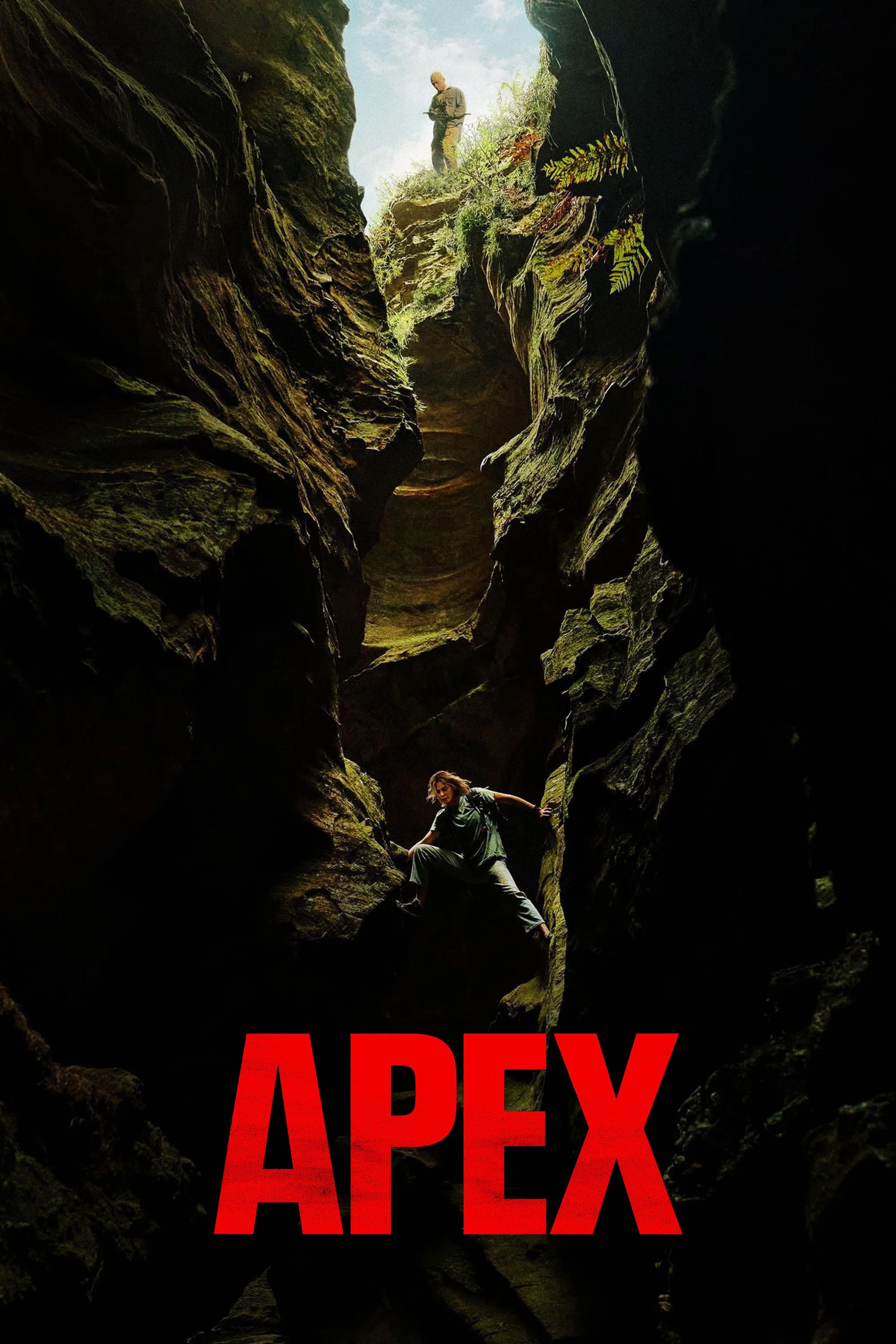 Apex Poster