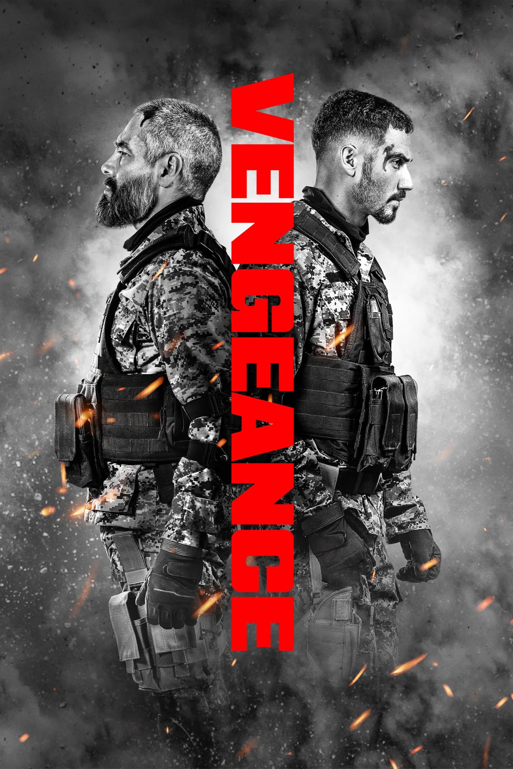 Vengeance Poster
